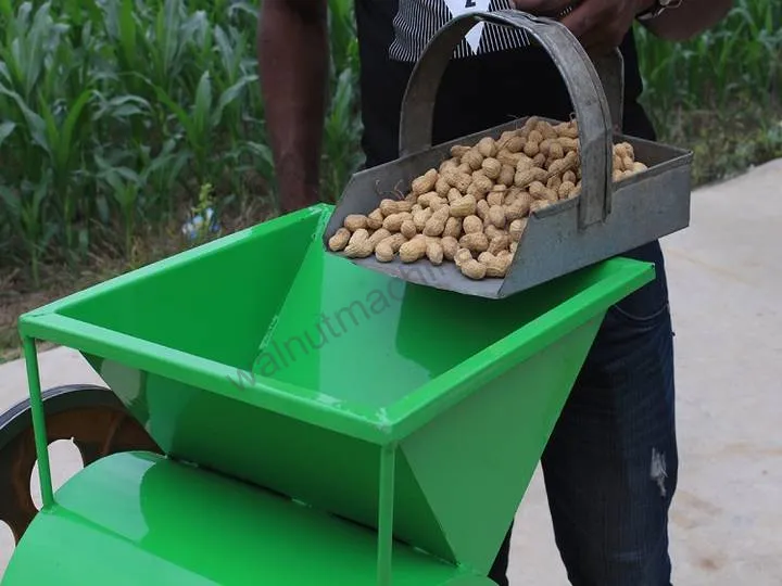 Peanut Shelling Machine For Efficient Peanut Shell Removal 3 Peanuts enter the machine