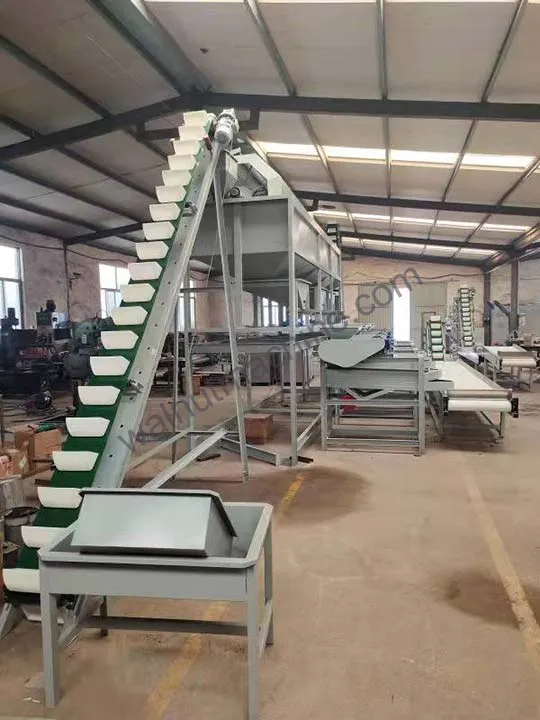 Raw material feeding and size grading