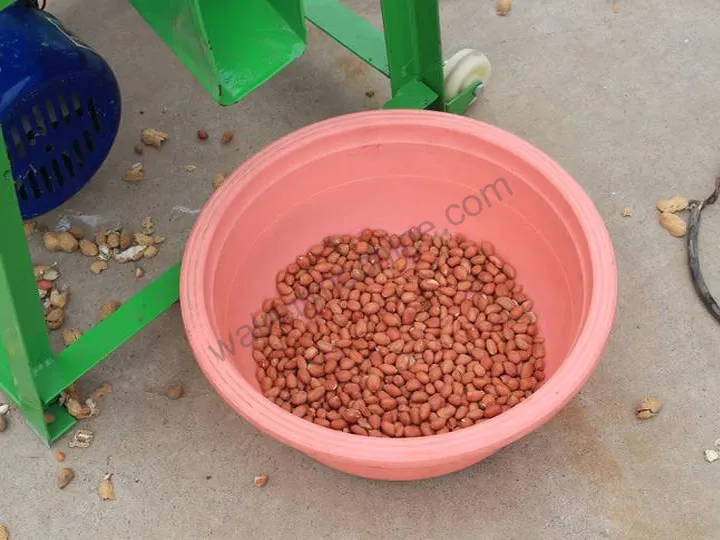 Peanut Shelling Machine For Efficient Peanut Shell Removal 6 Shelled peanuts discharge