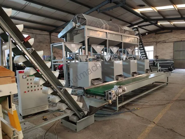 Walnut processing plant