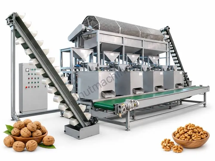 Walnut Processing Plant